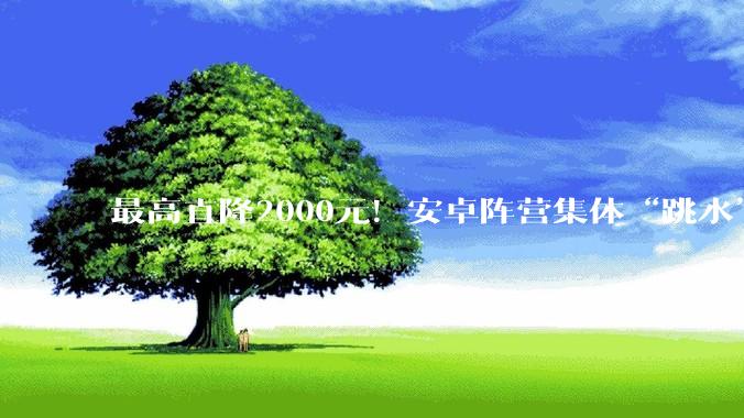 最高直降2000元！安卓阵营集体“跳水”，618价格战全面开启_旗舰_小米_Pro